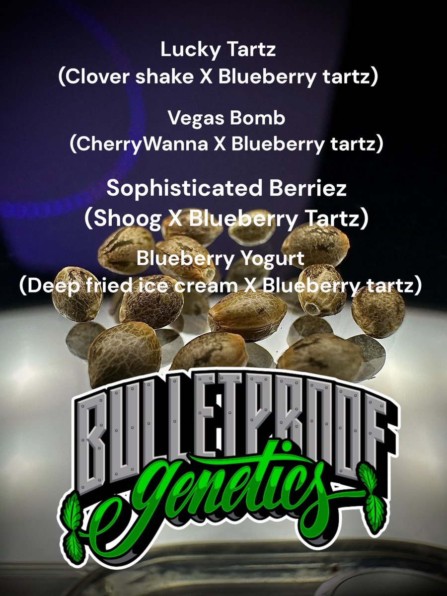 Unreleased Bulletproof genetics.

I was thinking about putting a few packs together for a Christmas sale.

What do you think?