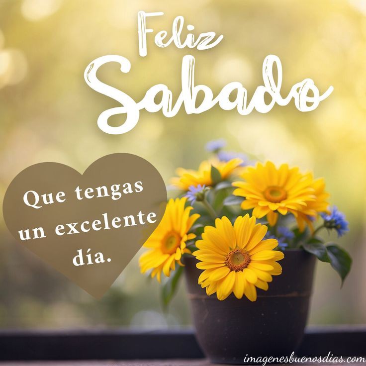 ddiana2006's tweet photo. Hola que tengas un bonito #Sabado con los tuyos 😐

Me ayudas con mi #Lukaton 🙏🏻 https://t.co/a9bqYbsbXM
