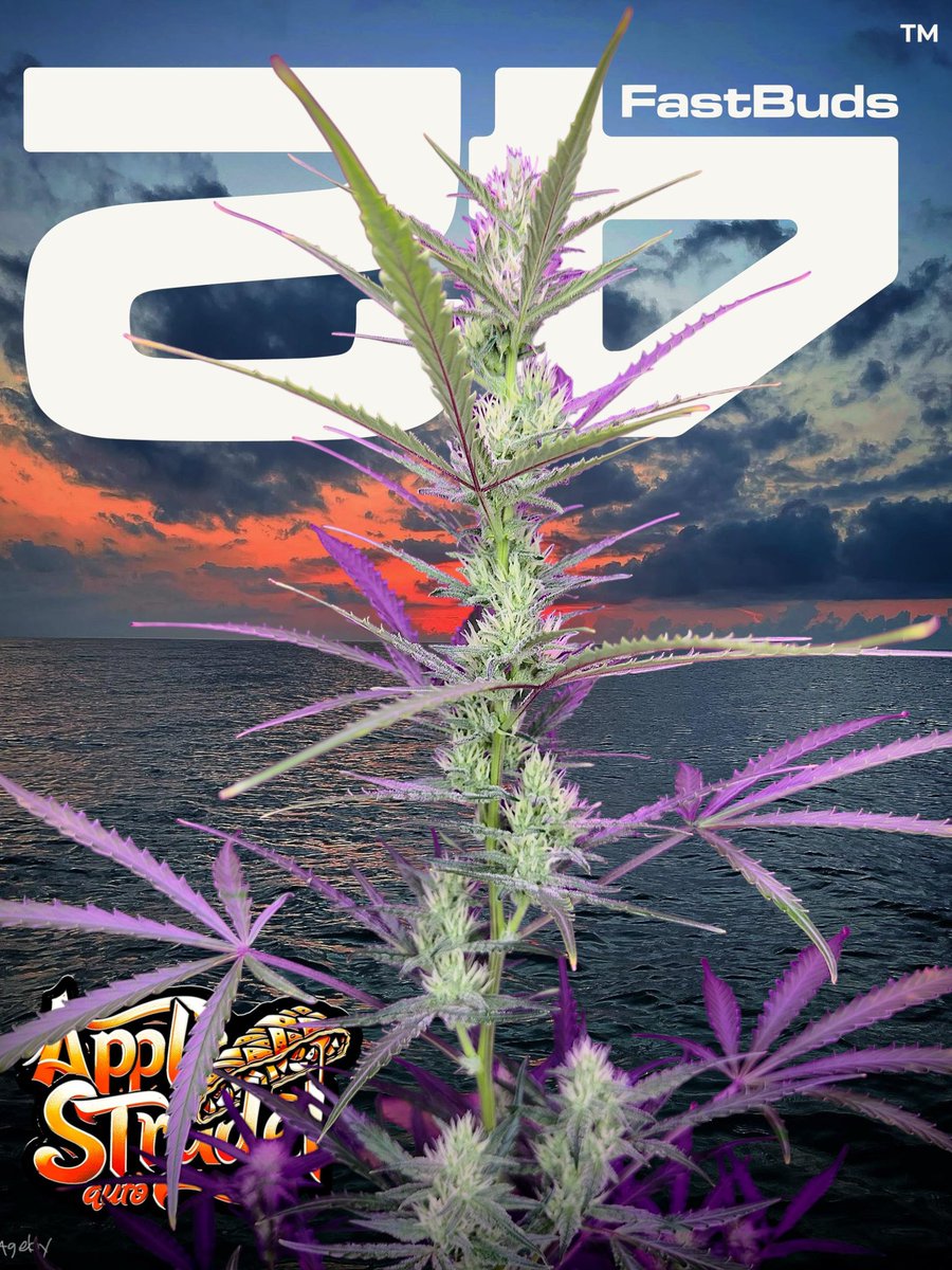 Grew this apple strudel, did the photos. Also took the picture of the sunset so I incorporated it all together.

Think it turned out pretty cool