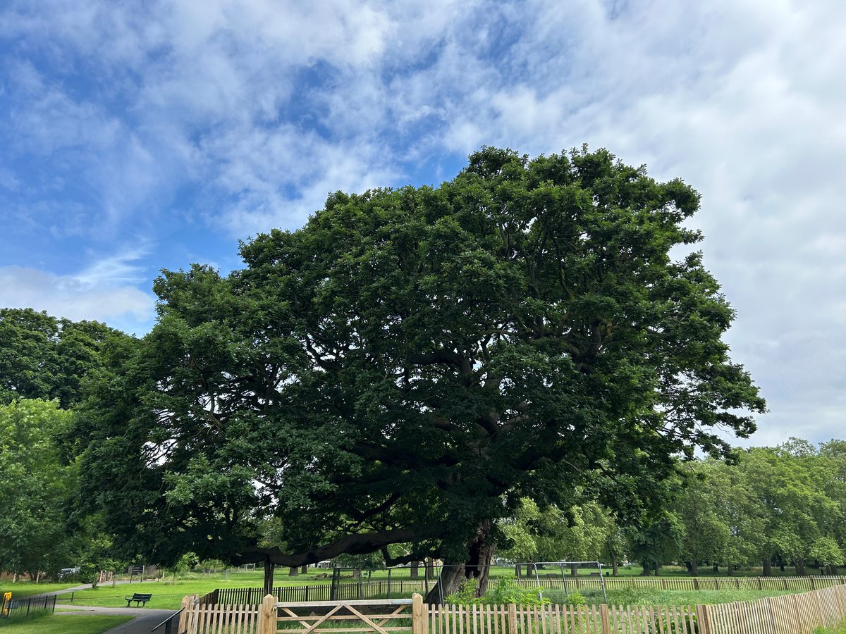 BruceCastleMuseum (@brucecastlemus) on Twitter photo Love nature and want to get to know more about the local area? 🌳🌲
Join us at Bruce Castle for an afternoon with our friends <a href="/TottenhamTrees/">TottenhamTrees</a> !
🗓Sunday 24 November
🕓2pm to 4.45pm
📍Bruce Castle Museum & Archive N17 8NU
All details at: brucecastle.org/events
<a href="/haringeycouncil/">Haringey Council</a> Love nature and want to get to know more about the local area? 🌳🌲
Join us at Bruce Castle for an afternoon with our friends <a href="/TottenhamTrees/">TottenhamTrees</a> !
🗓Sunday 24 November
🕓2pm to 4.45pm
📍Bruce Castle Museum & Archive N17 8NU
All details at: brucecastle.org/events
<a href="/haringeycouncil/">Haringey Council</a>