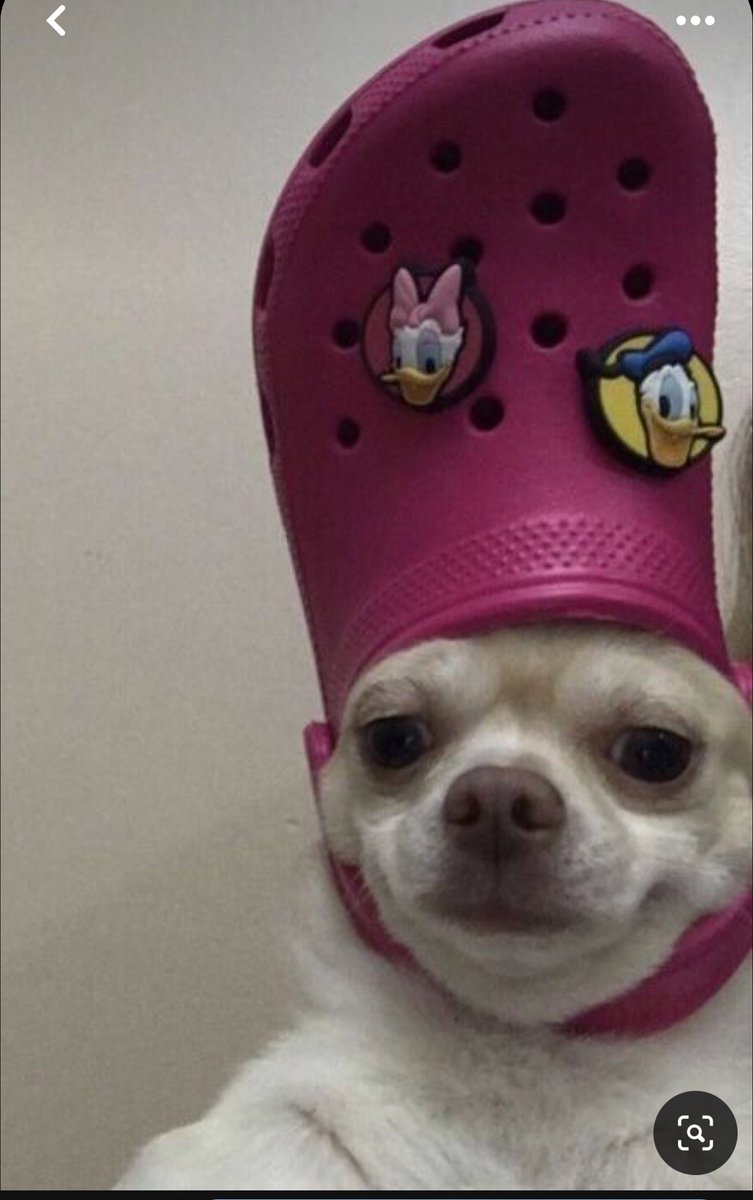 GM GM GM GM GM GM 👑

(say it back if ur a real one)