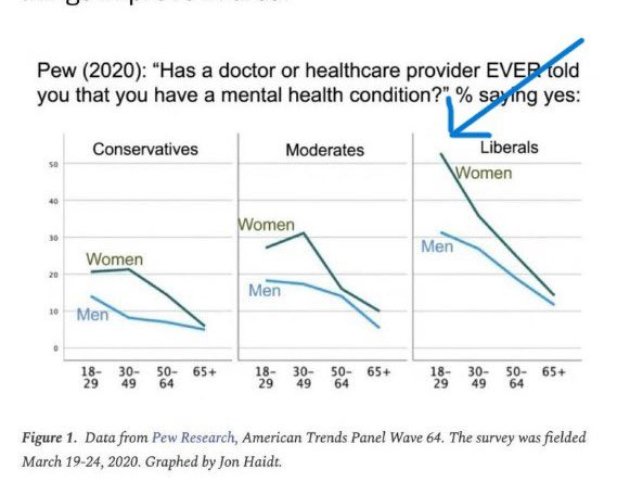 <a href="/iAnonPatriot/">American AF 🇺🇸</a> Your reminder that more than 50% of white liberal women are mentally ill.