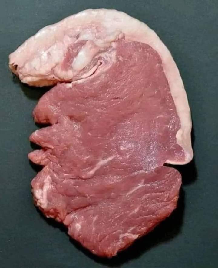 هوا ولا مش هوا
الفائز
