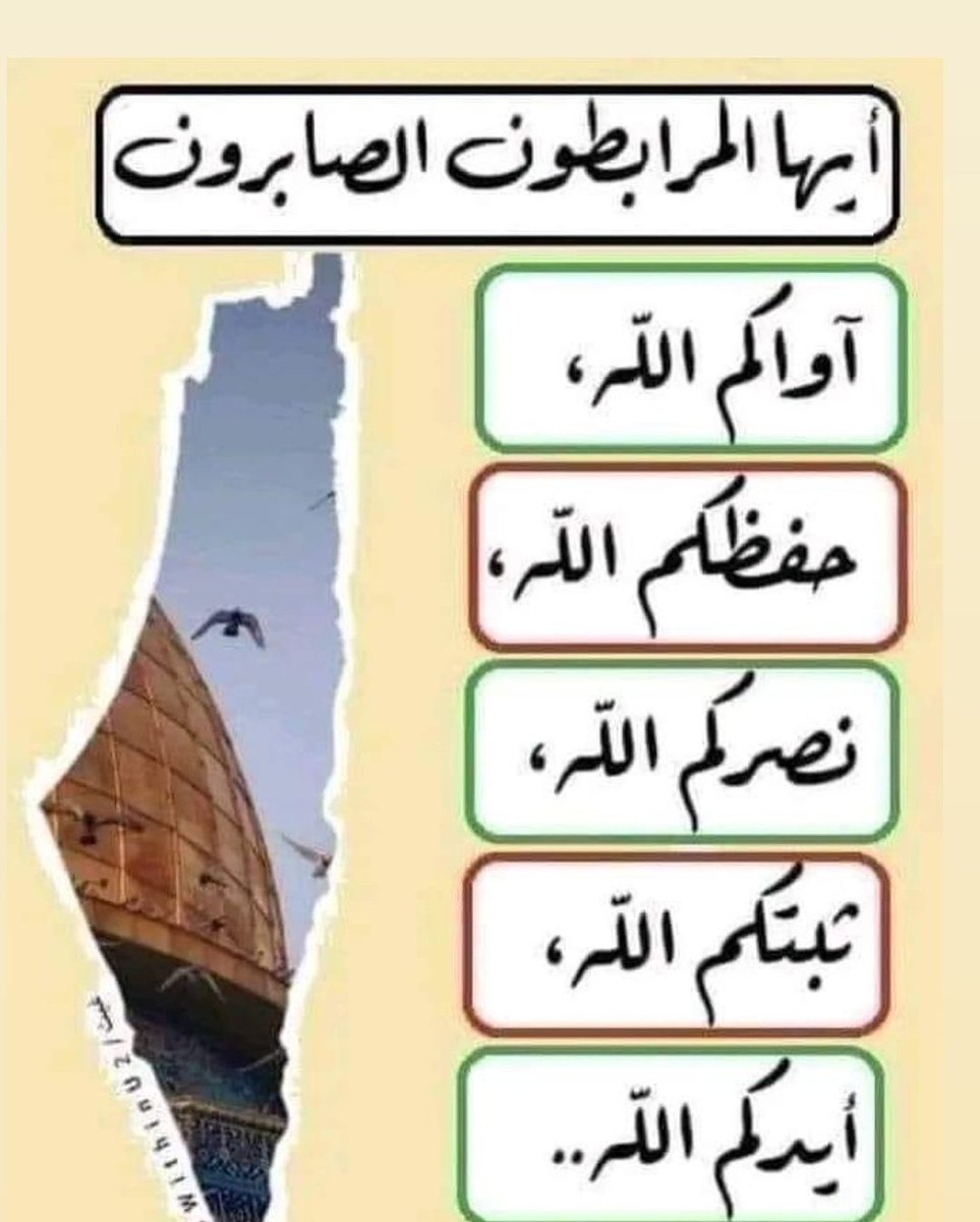 DjeaiouMohammed tweet picture