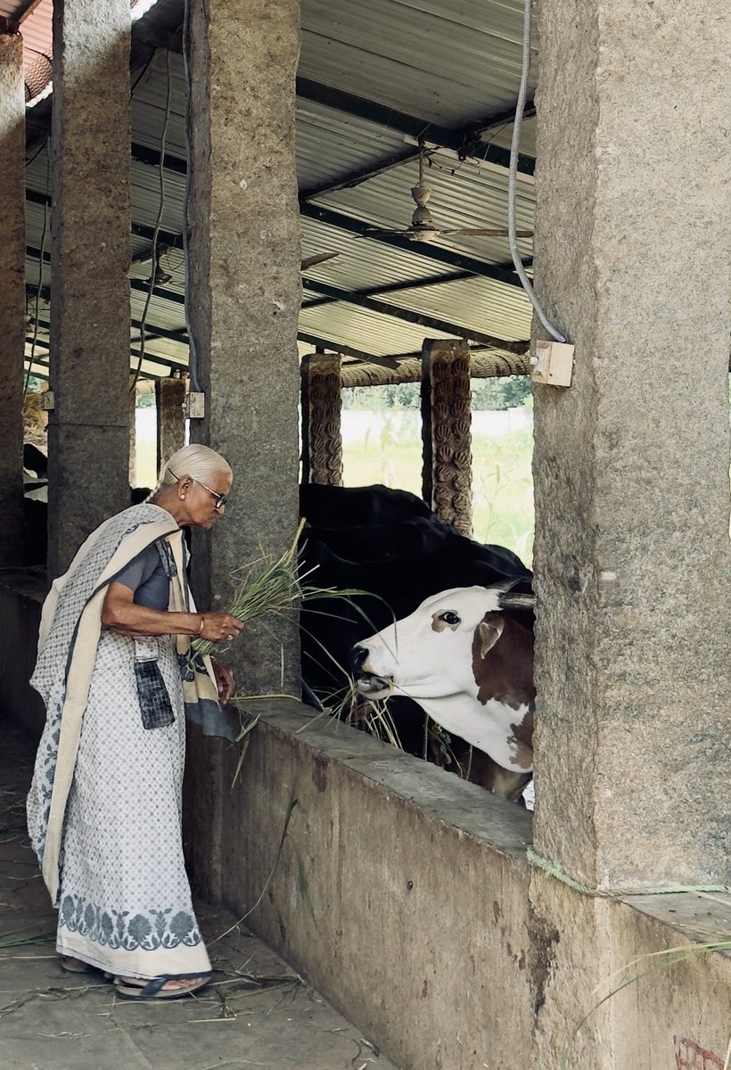 Rashmi 🌻 tweet media