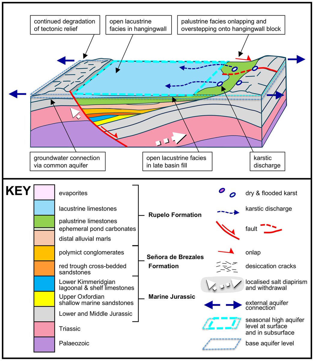 New in TDR
Hydrologically sensitive carbonates: Tectonic and groundwater controls on synrift sedimentation in the Late Jurassic–Early Cretaceous of the western Cameros Basin, Northern Spain
Nigel H. Platt,  V. Paul Wright

doi.org/10.1002/dep2.3…