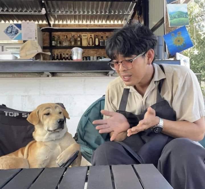 saito tweet media