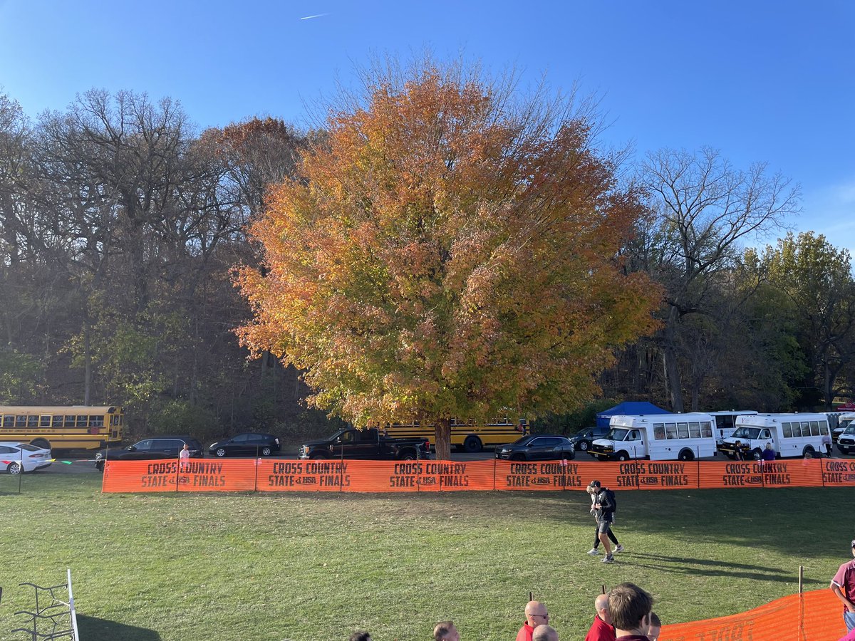 Addison Trail XC tweet media