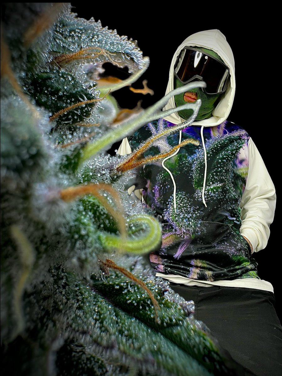 Thought this was cool
🫨🫨🫨