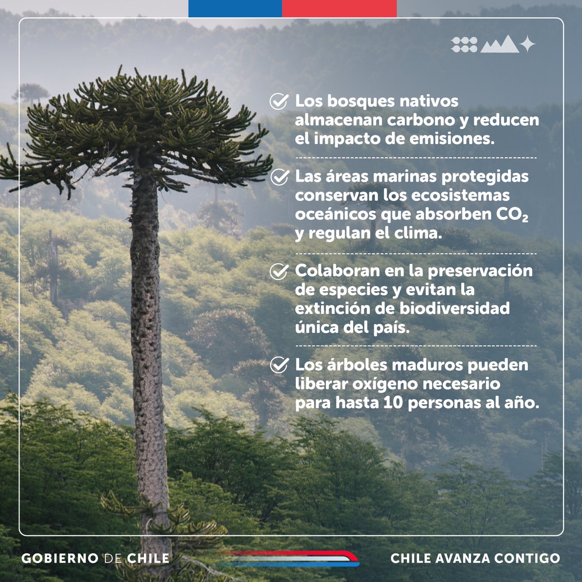 Ministerio del Medio Ambiente tweet media