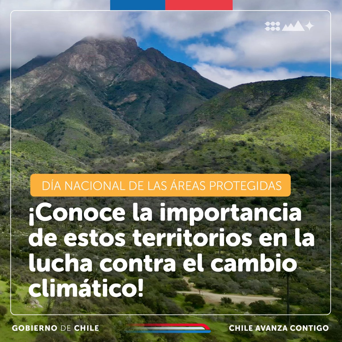 Ministerio del Medio Ambiente tweet media