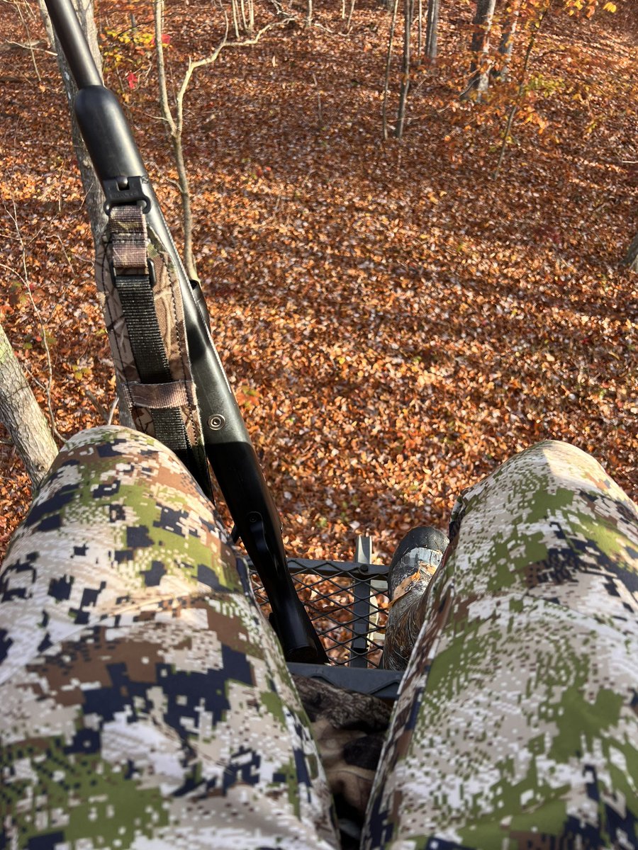 𝒜𝓁𝓁𝒾 tweet media