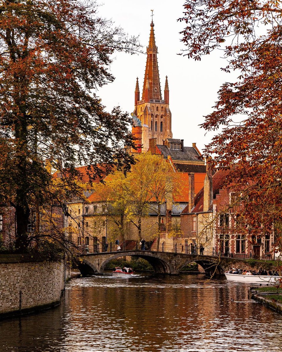 Old World Explorer tweet media