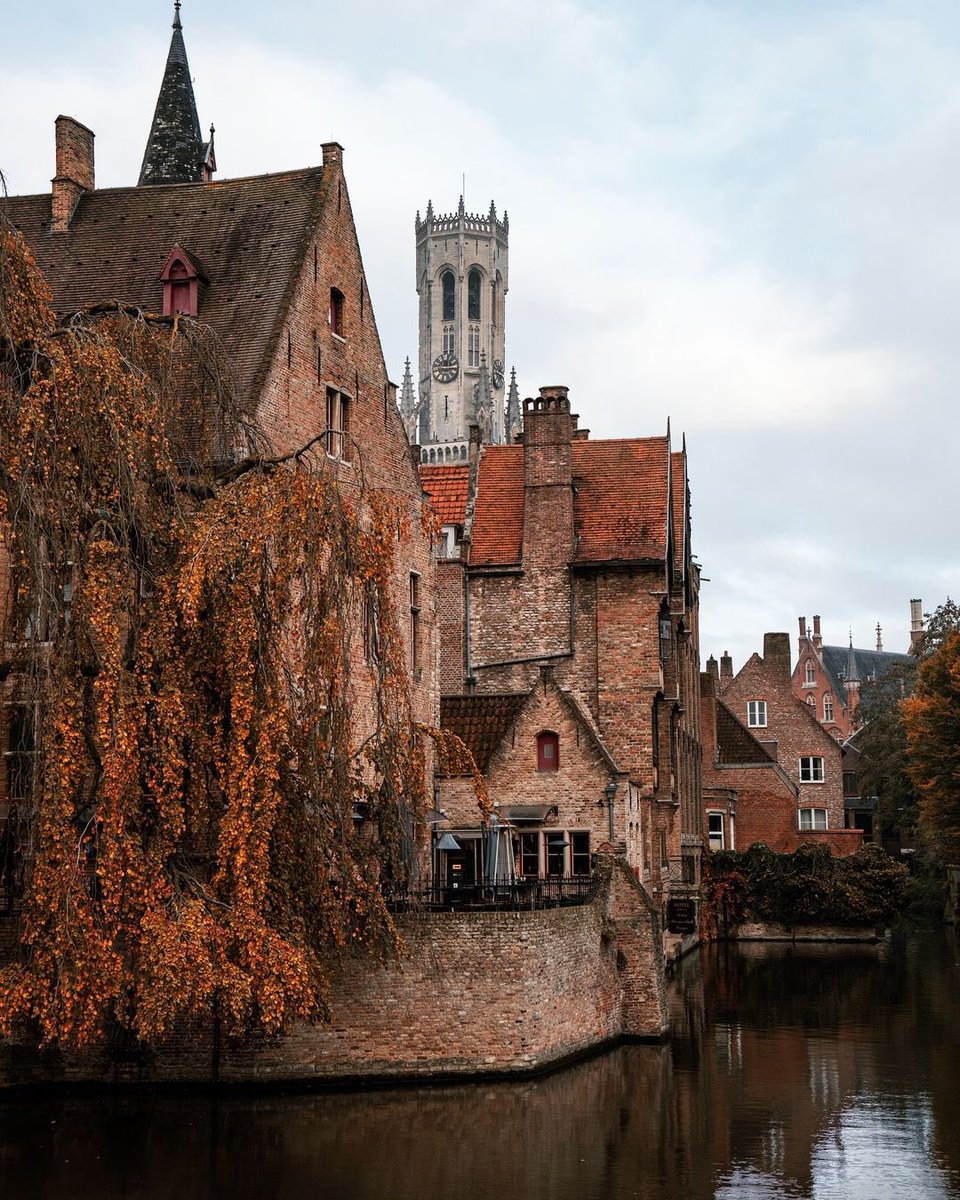 Old World Explorer tweet media