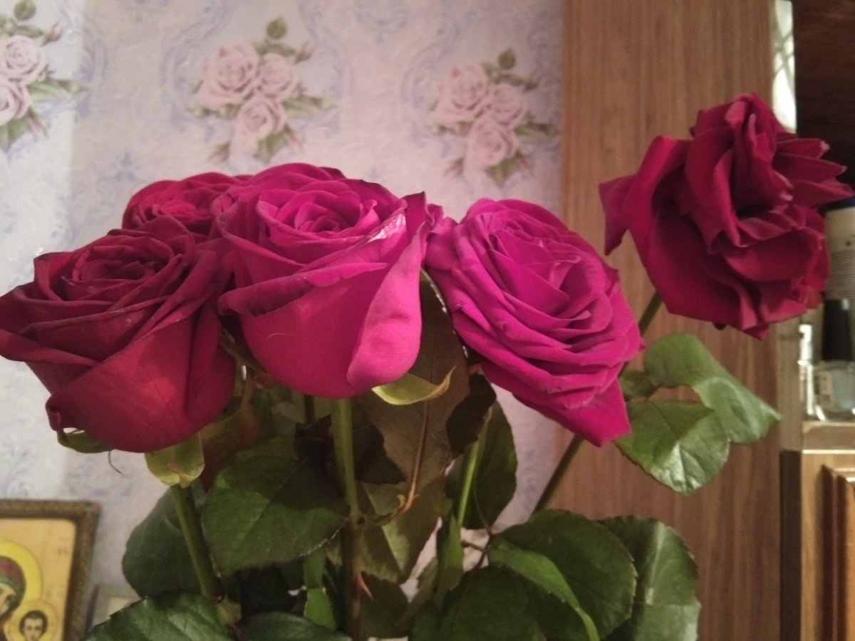 NeWhoRin's tweet photo. Брат приехал поздравлять с цветочками, мяу 💙 https://t.co/v6QoDPRXji