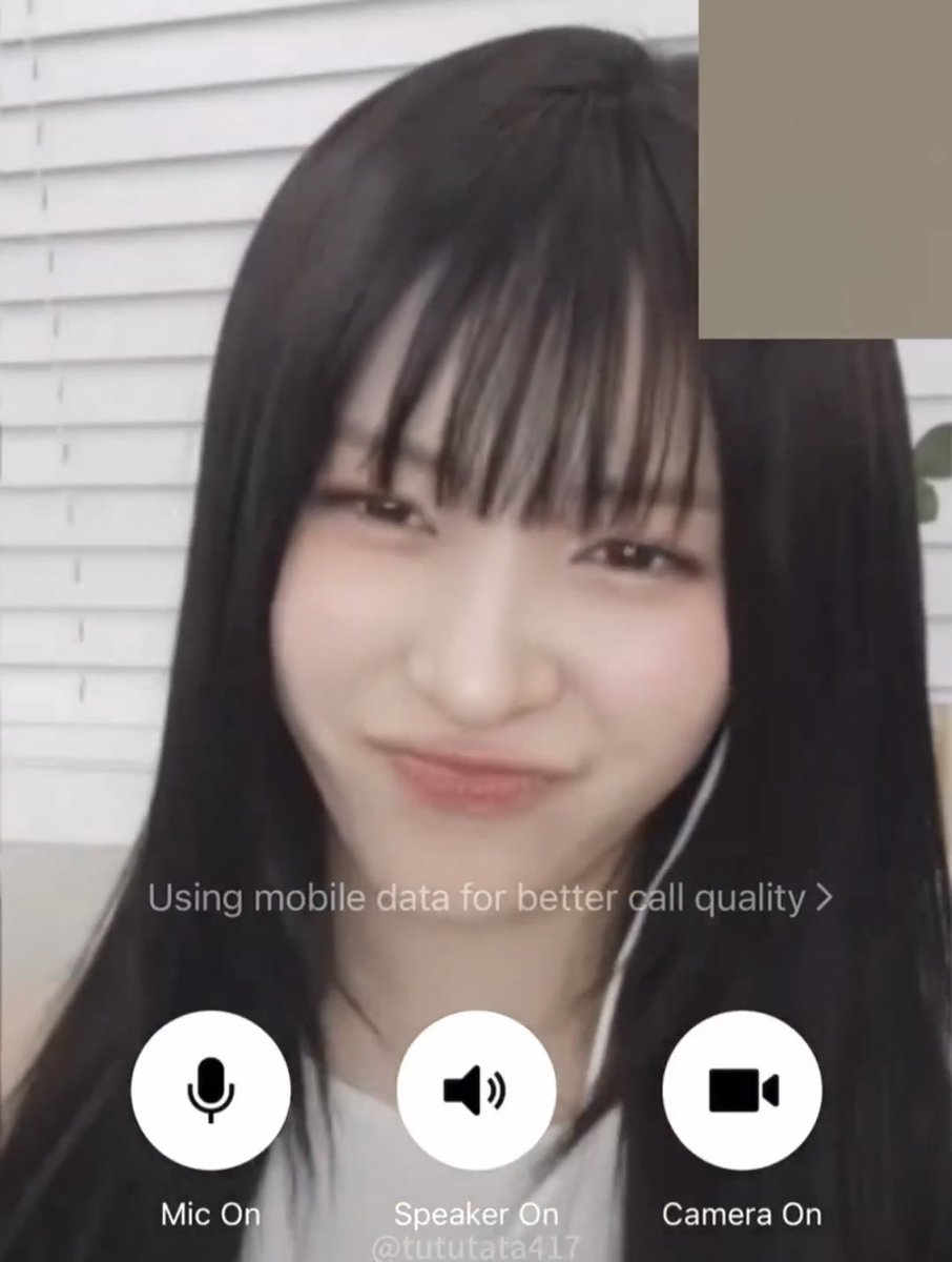 아진짜 공격력0의 강아쥐 못참겠다고.