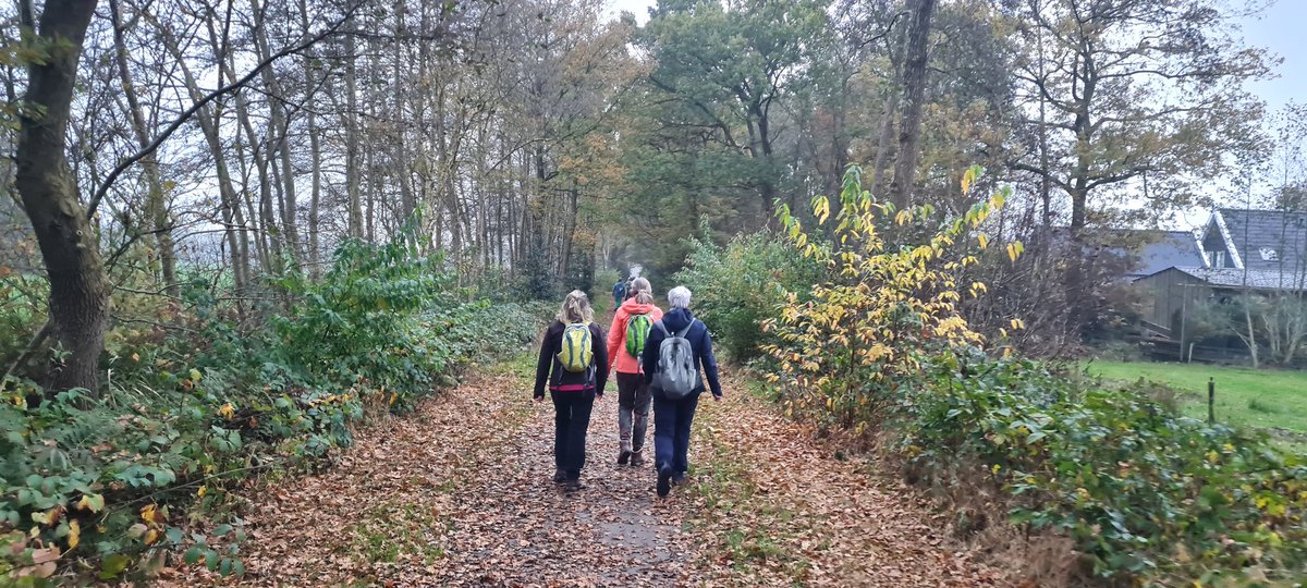 OebleBouma's tweet photo. Vandaag een mooi #DBOtsje gemaakt door de Trynwâlden. 25 km door o.a. #Munein, #Aldtsjerk #Ryptsjerk, #Gytsjerk #Readtsjerk.
Een mooie route met dank aan @FRL_Beweegt. https://t.co/NODqbjB8de