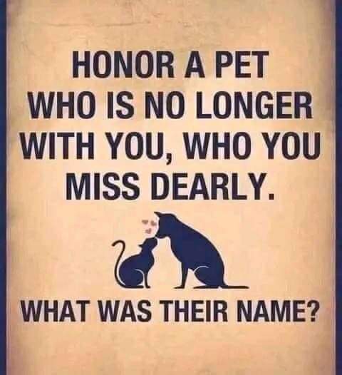 Happy Dog tweet media