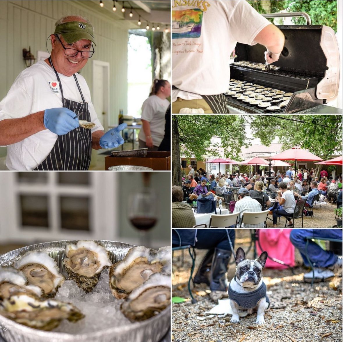 CBWineTrail's tweet photo. Fall Oyster Crawl at 8 Trail wineries starts TODAY! 

#oysters #Virginia #vawine #wine #loveva #visitva #visitvirginia 

📸 @InglesideWinery https://t.co/ZMGFtAx45a