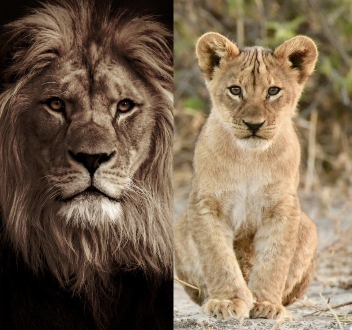 Bryan Zaragoza vs FCB / Vs Real Madrid