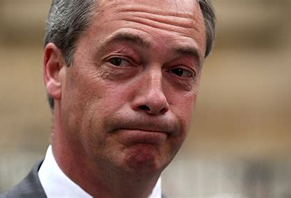 dave lawrence 🐟🐟🐠 tweet media