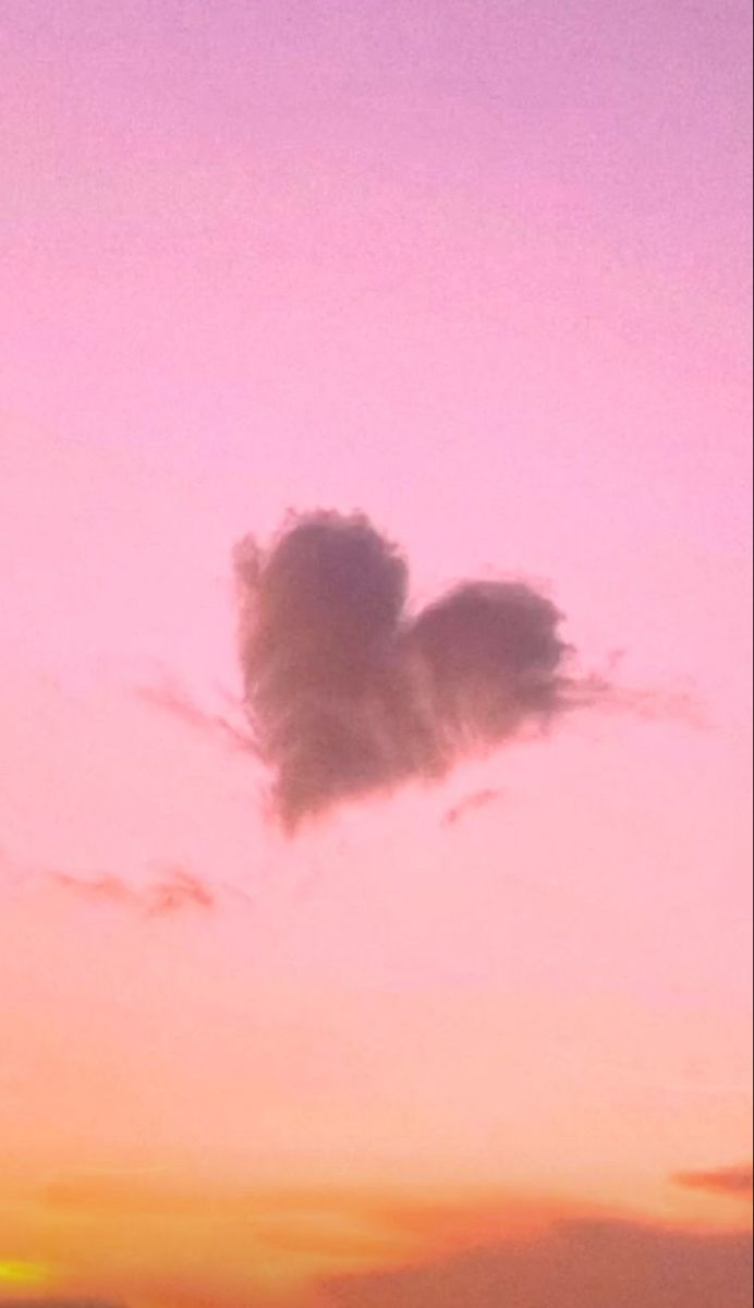 Aesthetics (@aestheticspost_) on Twitter photo 