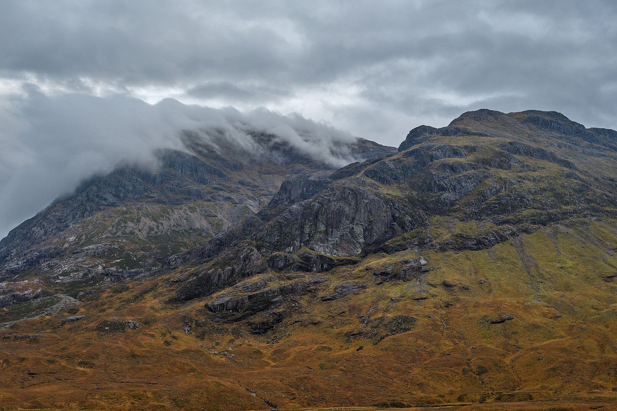 YorkshireLass tweet media