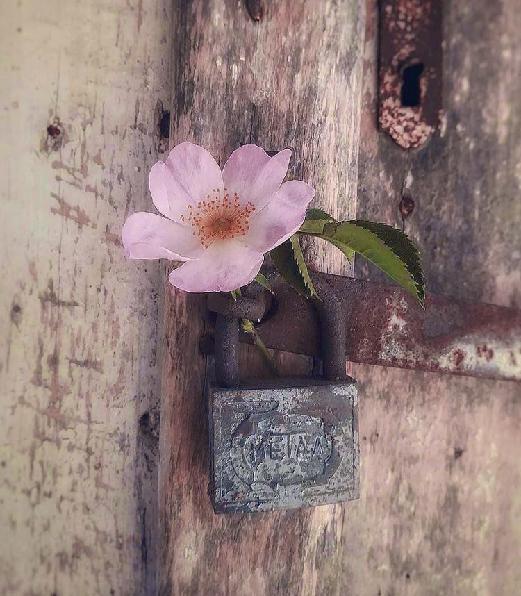 أن تتناغم مع خصالك النبيلة والثابتة ،،
وفكرك المُختلف ،، 
وتعبك الخفي الذي تكتمه 
مع ضبط الخلق وعدم القسوة 
جمال لايقهر ولا يستسلم ،، 
هنيئاً لك ♥️✨