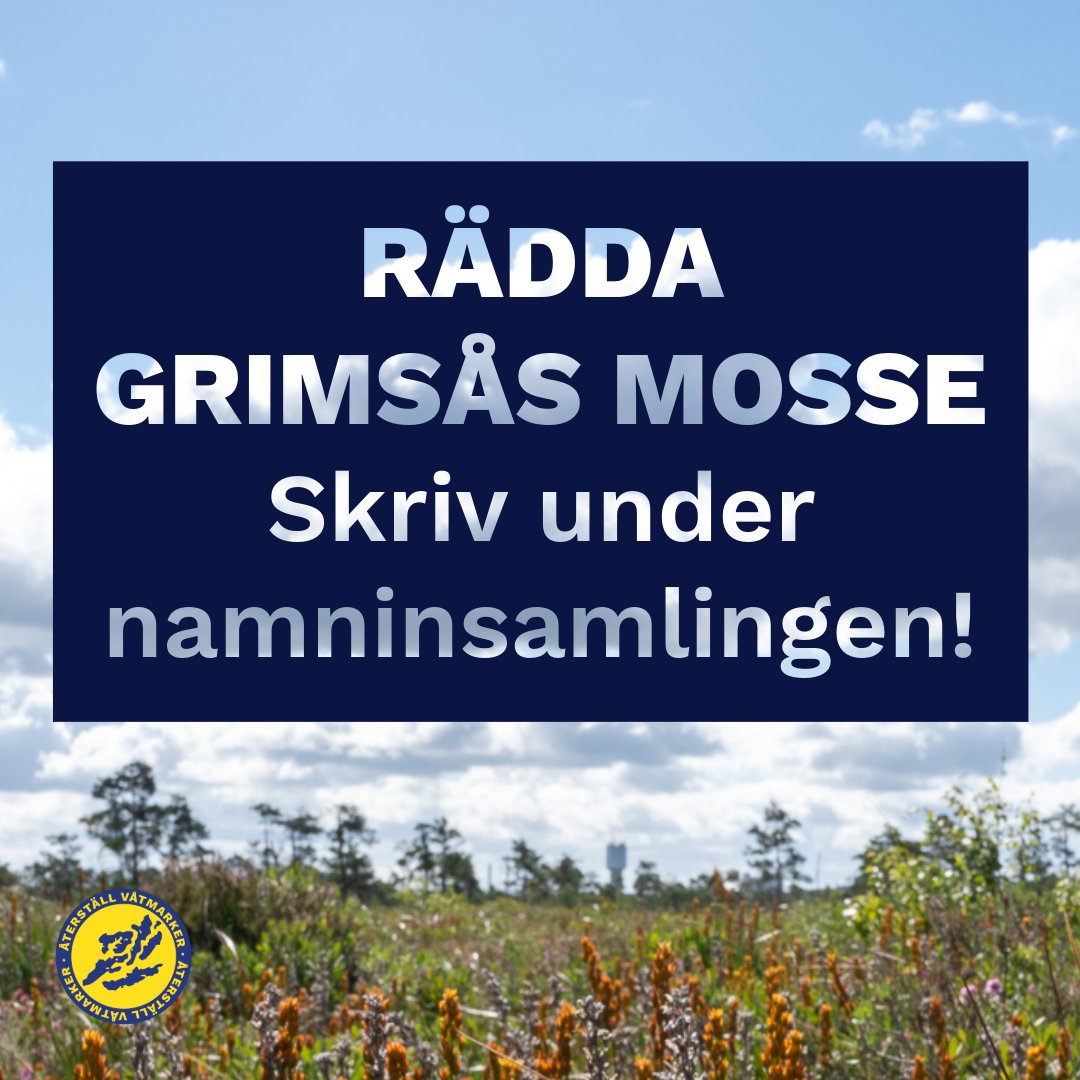 Regeringen har gett Neova klartecken att bryta torv på Nexans del av Grimsås mosse. Detta mitt i en brinnande klimatkatastrof. Nu är Mark- och Miljööverdomstolen sista chansen att rädda mossen.

aterstallvatmarker.se/radda-grimsas/

#återställvåtmarker