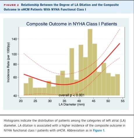 MasriAhmadMD's tweet photo. Trajectory of patients with #HCM and NYHA class I in the SHaRe Registry. Important data. 

https://t.co/RWNhLpIkwj

#CardioTwitter https://t.co/ojNIqzWBPu
