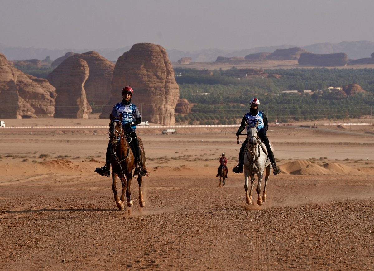 📸|كأس الشباب والناشئين للقدرة والتحمل
منافسات مثيرة وإصرار لا يقهر من فرسان المستقبل🏇

#الاتحاد_السعودي_للفروسية