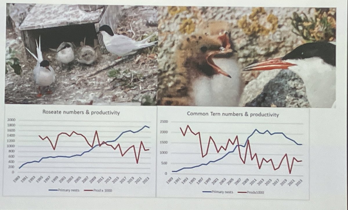Oonagh Duggan tweet media