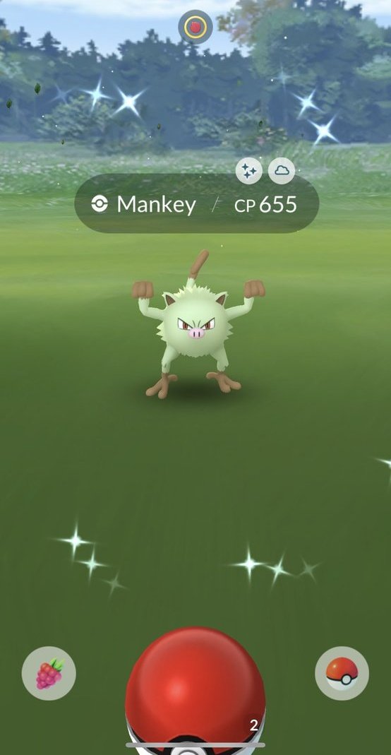 Salo0ooo_'s tweet image. 🛑Ritual invocación de Mankey Shundo🛑

                    🕯     🕯
           🕯                       🕯
                    ✨️✨️✨️
       🕯️        🍀🙏🐵      🕯️
                    ✨️✨️✨️
#PokemonGO 
#mankey
#shiny
#PokemonGOCommunityDay