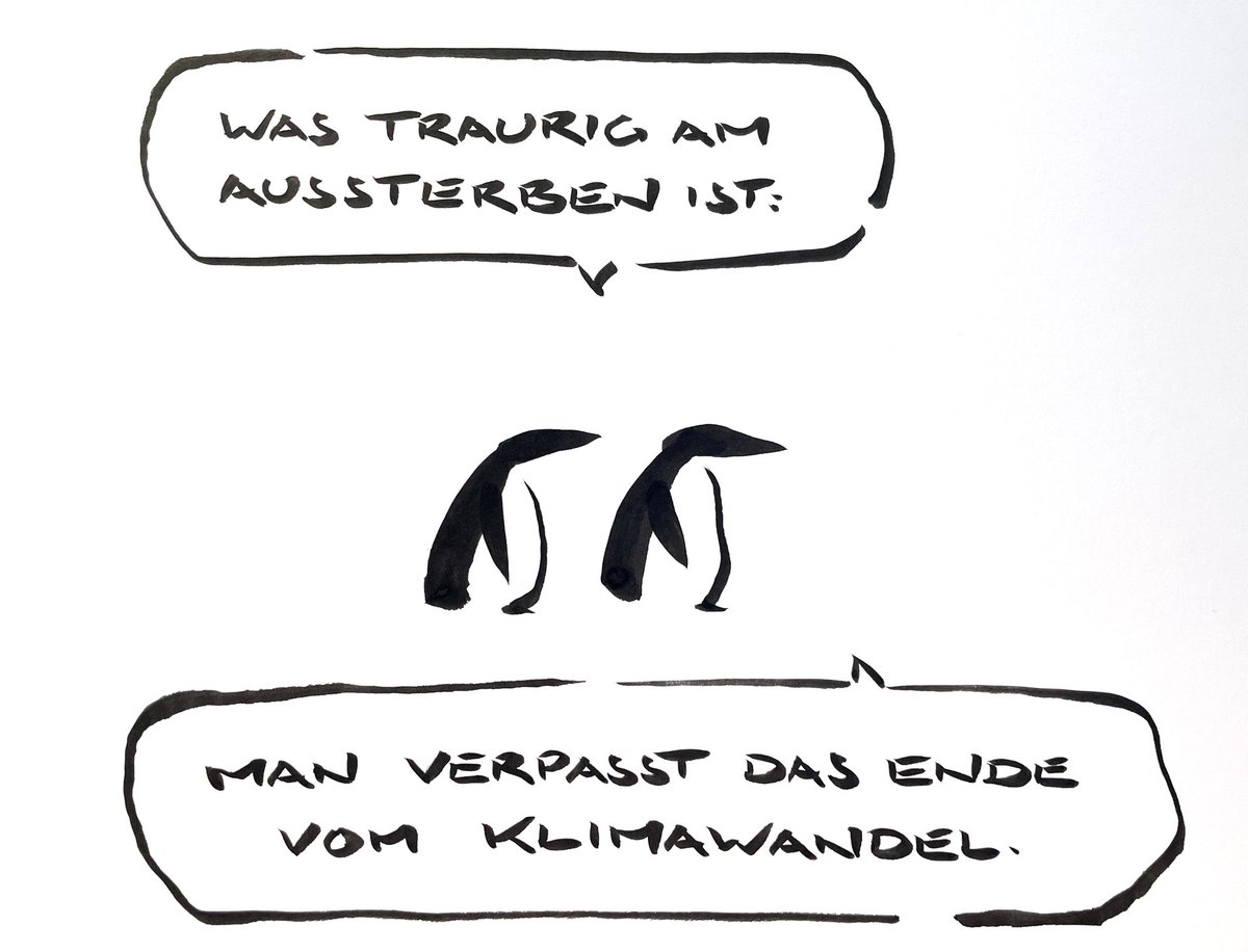 meta bene (@meta_bene) on Twitter photo 