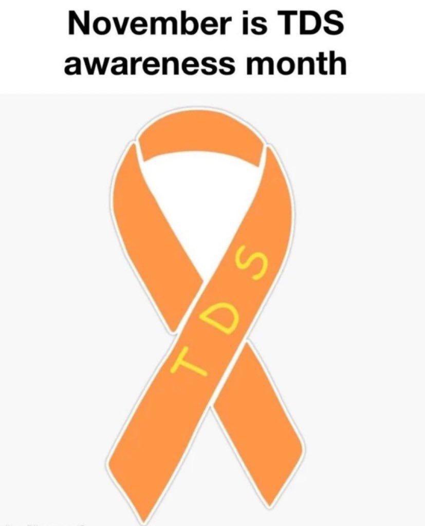 ddatchi's tweet photo. Take a moment to pause and remember all those affected by TDS. Bless their hearts.  @QGurtrude @Knesix https://t.co/DS8Xgz8RVx