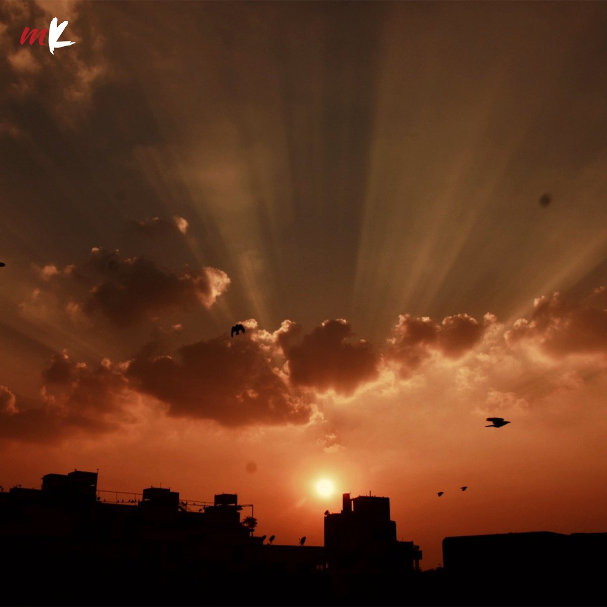TT_My_Kolkata's tweet photo. Hope Foundation silver anniversary event, science exhibition and more– take a look at the day that was for Kolkata.
🔗 https://t.co/iaZYOayDcy
#PicksOfTheDay #PhotoOfTheDay #HopeFoundation #SilverJubilee #BITM #ScienceExhibition #JagaddhatriPuja #Kolkata #MyKolkata https://t.co/9ozawlNsZa