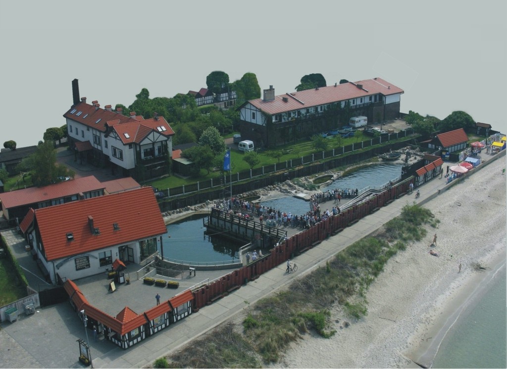 W ten długi listopadowy weekend zapraszamy do naszego fokarium i Domu Morświna. Jesteśmy otwarci codziennie - fokarium g. 10-16. Są też dwa karmienia fok z prelekcją o 11 i 14. Natomiast Dom Morświna g. 10-16 i wyjątkowo z racji święta, 11.11, w poniedziałek. Zapraszamy! 💙