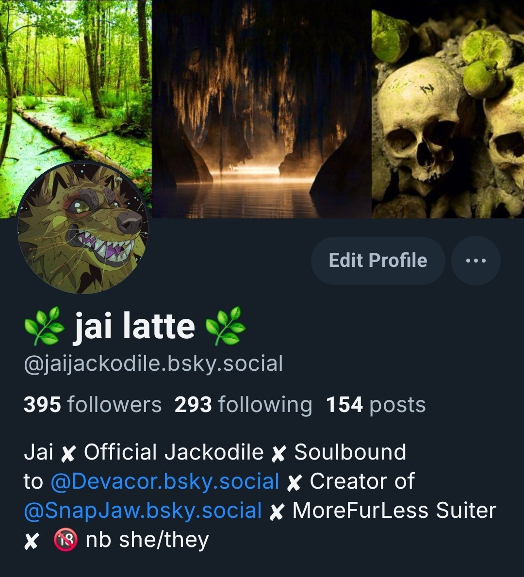 For obvious reasons, I won't really be posting on this site anymore. You wanna keep up with my antics? Give me a follow over here on 🩵🌃