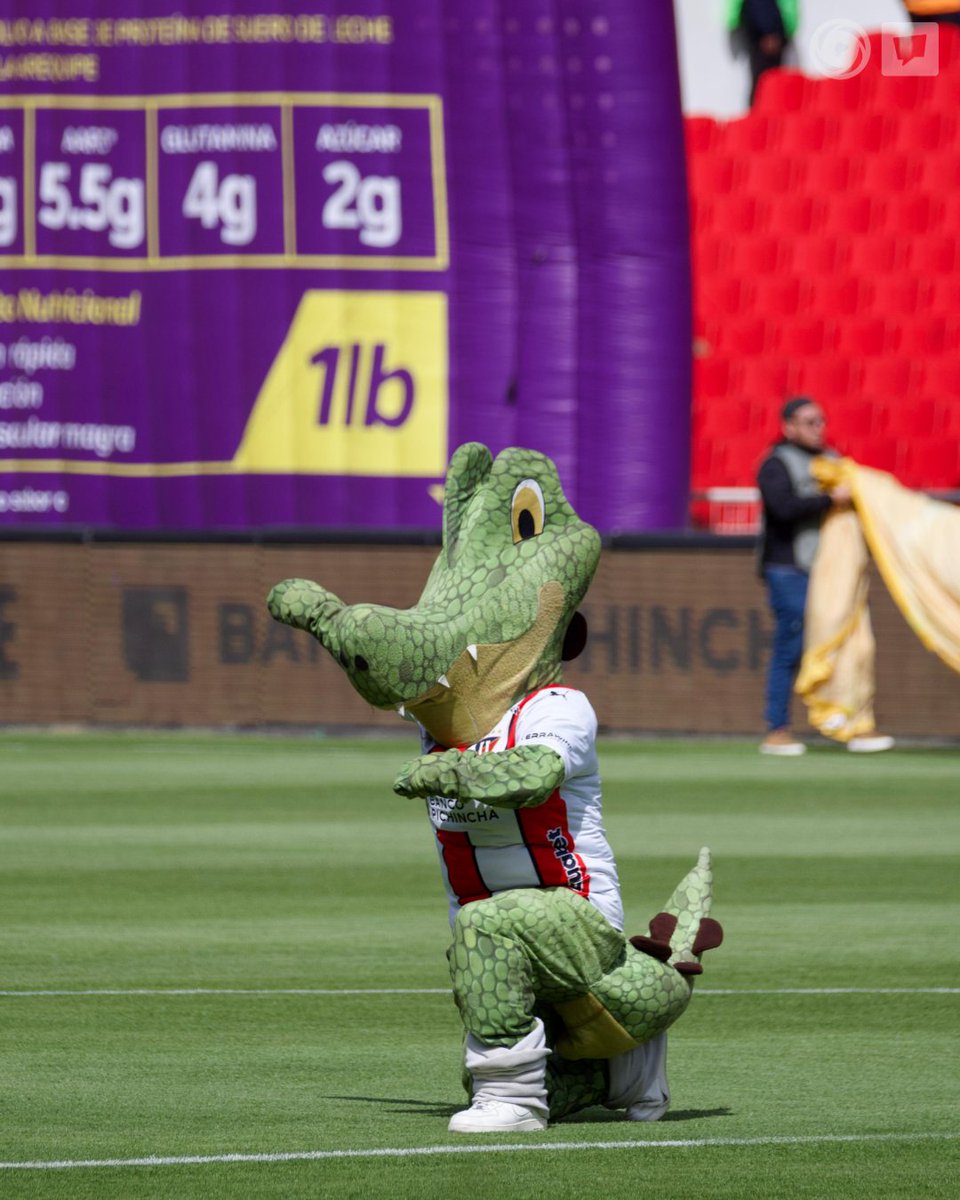 ¡SE VIENE UN SHOW! 🐊 

📷 <a href="/AndresMediavil4/">Andres Mediavilla</a> en MrOFF