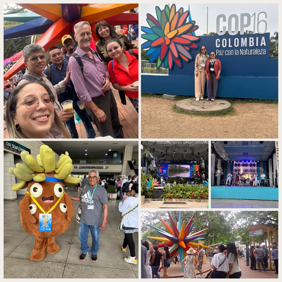 1️⃣ Desde el Centro para la Justicia Marina <a href="/CJusticiaMarina/">Centro para la Justicia Marina (Colombia)</a> resaltamos algunos aspectos de la COP16 🌎🌱.

Lo primero es resaltar la #Copdelagente. Se notó una participación de los #caleños y visitantes en la #COP16. En esta ocasión las personas locales estuvieron enteradas de