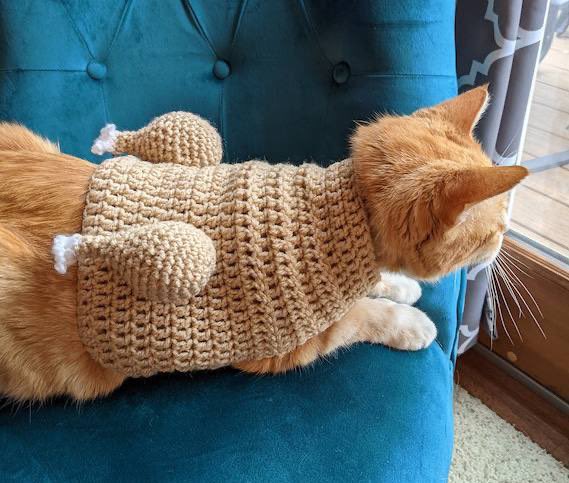 Are you fading TURKEYCAT anon?