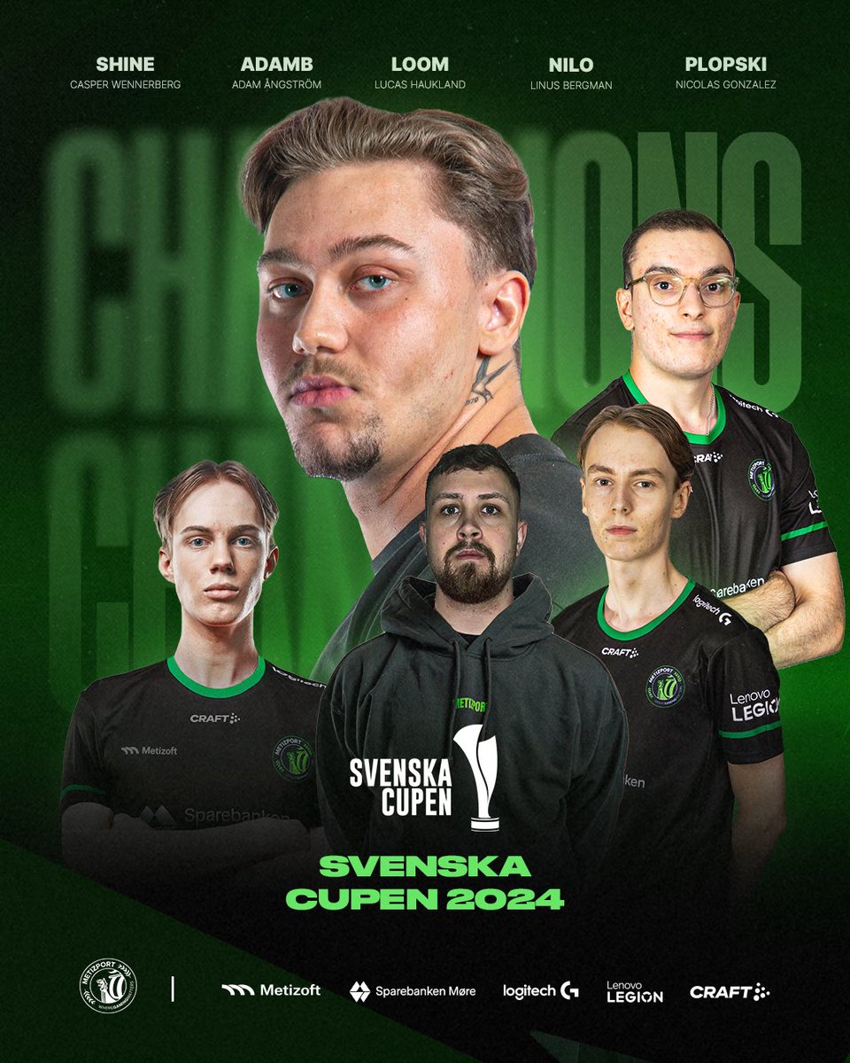 We are fucking swedish chamipions!💚💚