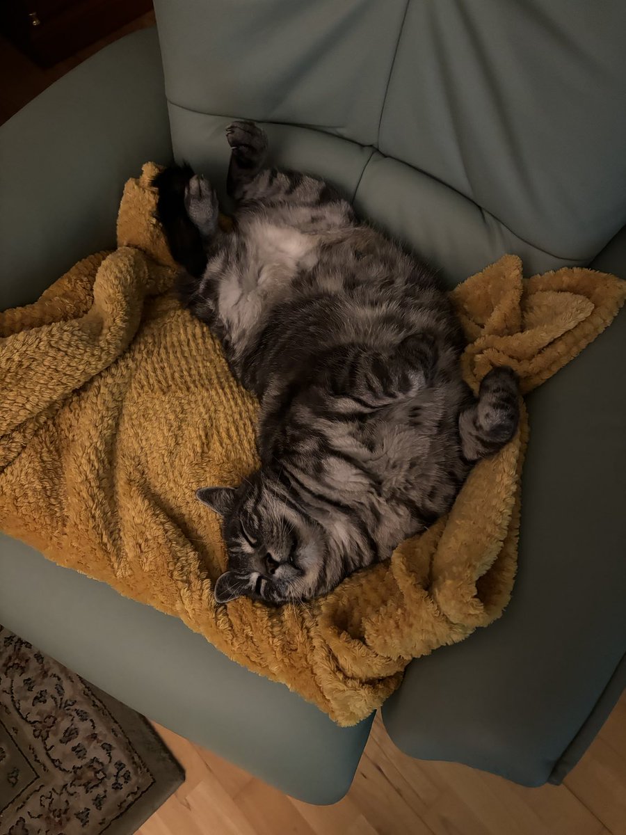 Wer hat gesagt das der Sessel nur für Dich ist. 🙃