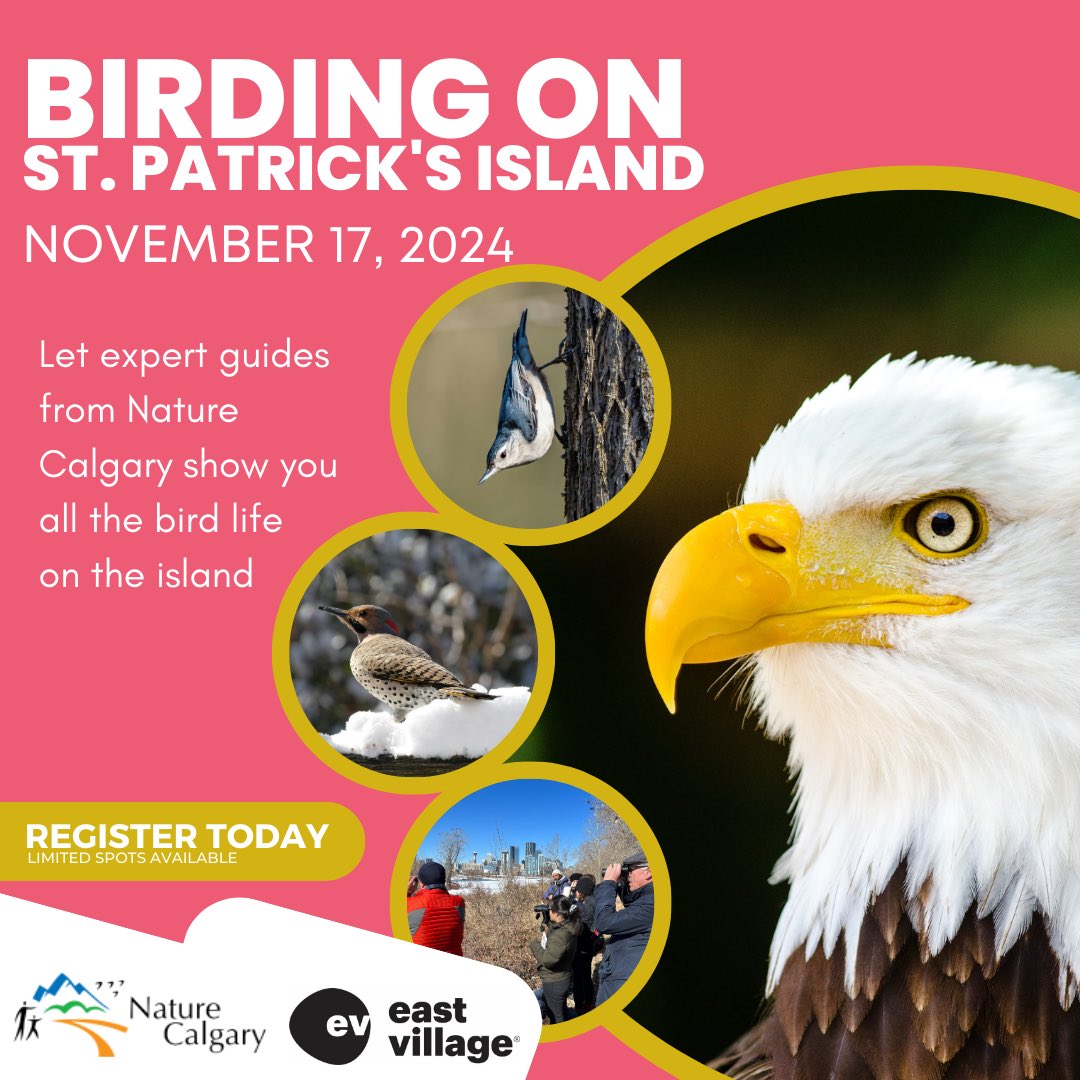 Come birding with us! We have four great walks left in our East Village program of walks taking place at St. Patrick’s Island. Members and non-members welcome! Click for more info and to register eventbrite.com/cc/birding-st-…