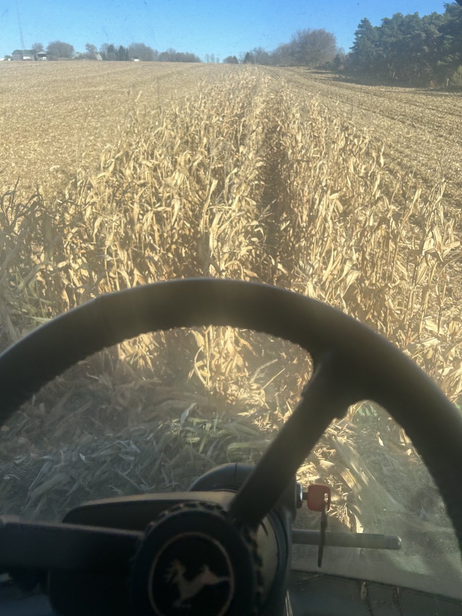 That’s it harvest 2024 is done. #Ontag #harvest2024 ⁦<a href="/mikepearson89/">Mike pearson</a>⁩