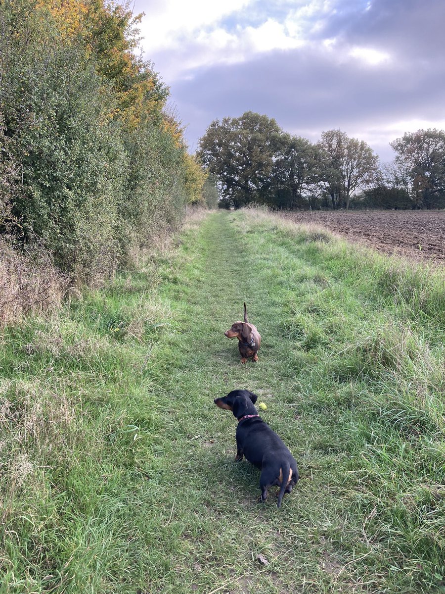 Go outside - it’s perfect out there 💚