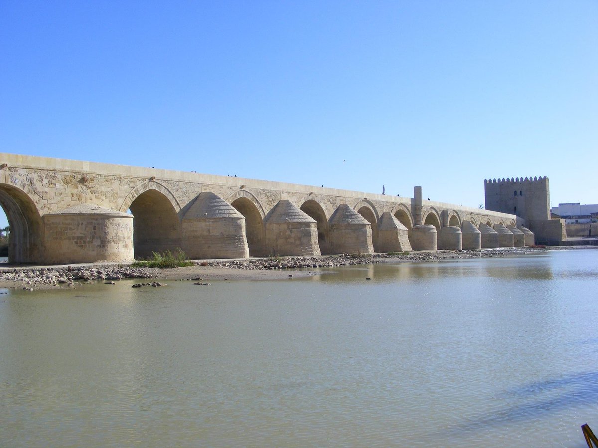 ENRIQUE LEÓN PASTOR tweet media