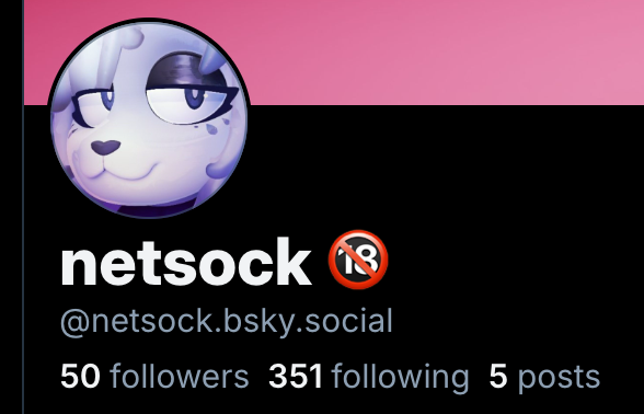 netsock 🔞 tweet media