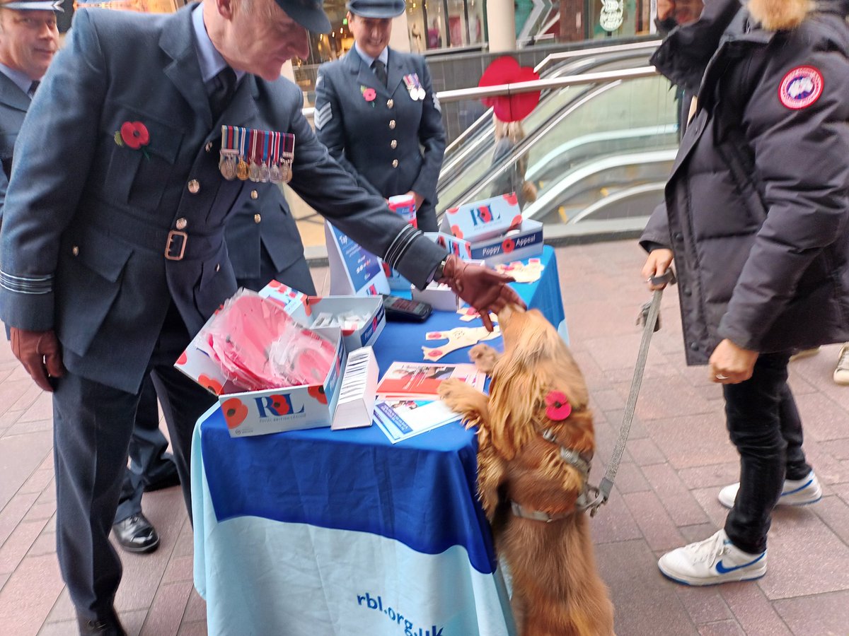 Fantastic day collecting for the Royal British Legion Poppy Appeal at Cabot Circus with the @RAF, <a href="/HMSFlyingFox/">HMS FLYING FOX</a> <a href="/URNUBristol/">URNU Bristol</a> and BUAS. #royalbritishlegion #PoppyAppeal