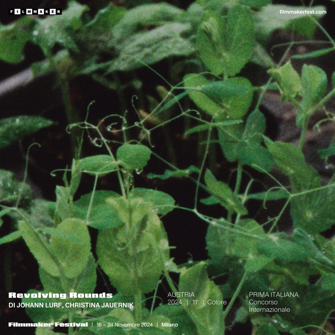 Revolving Rounds di Johann Lurf e Christina Jauernik: Un’esperienza cinematografica in 3D che mescola natura, scienza e viaggi psichedelici. #RevolvingRounds #Sperimentazione 
Abbonati bit.ly/4eqL6Mz